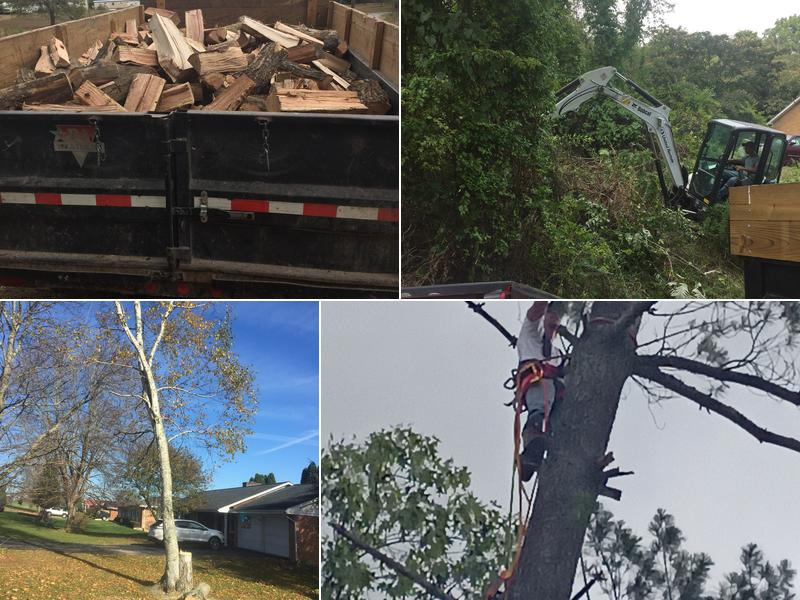 Hughes tree care LLC