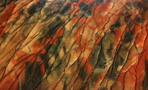 New England Floor & Wall