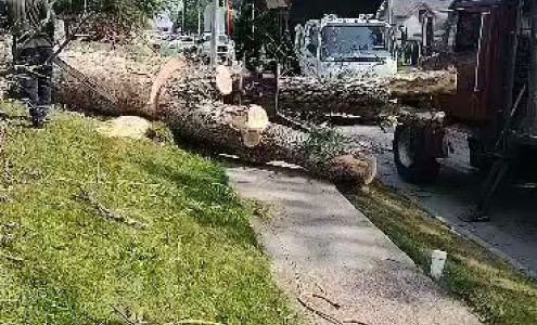 United Tree Service & Demolition 11809 Formica Rd, Tomah Wisconsin 54660