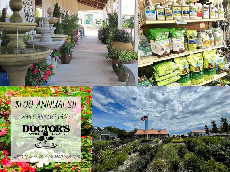 Doctor's Lawn and Landscape