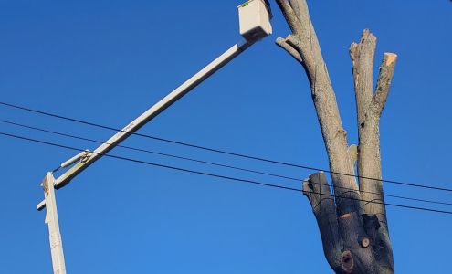 Stanley Professional Tree Service 165 Normans Camp Rd, Harrodsburg Kentucky 40330