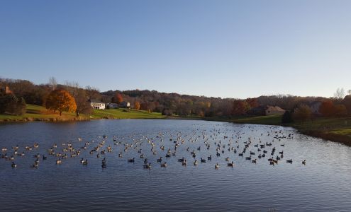 Jeff McMullen Photography