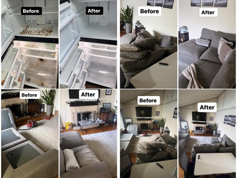 Tiger cleaning service