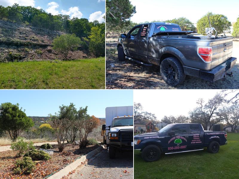 Blessed Tree Experts