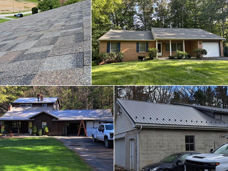 Lion Country Contracting