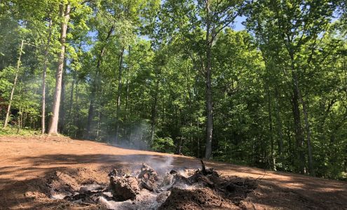 Tupelo Land Management LLC