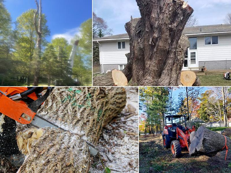 High Performance Tree Services, Inc