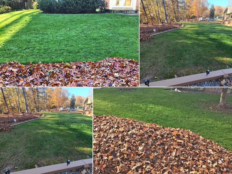 Superior home and yard services