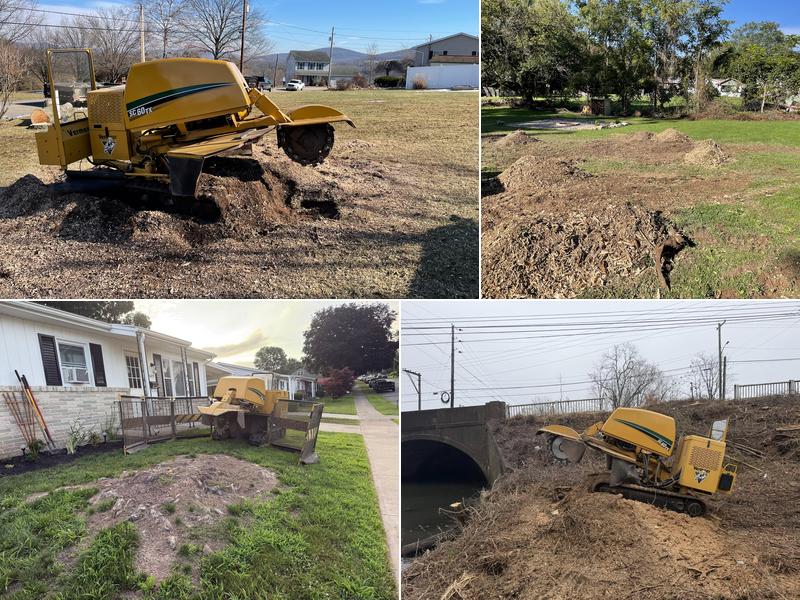 Longs Stump Grinding Services, L.L.C.