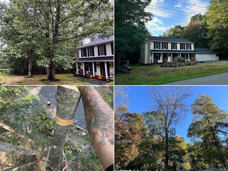 Earth and Lumber Tree Service LLC