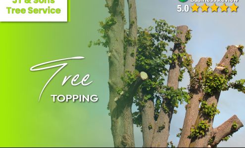 JT & Sons Tree Service LLC