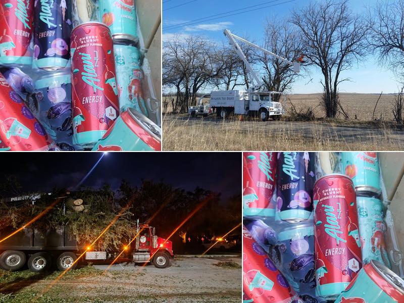 Backwoods Tree Service