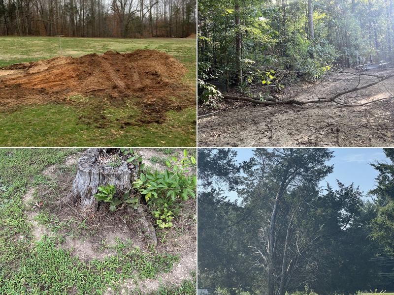 Scott's Stump Grinding and Tree Service