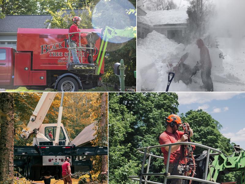 Black Diamond Tree Service, Inc