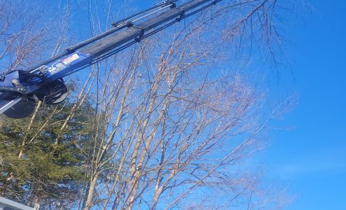 Élagueurs Arbor Inc - Émondage, Élagage & Abattage d'arbres