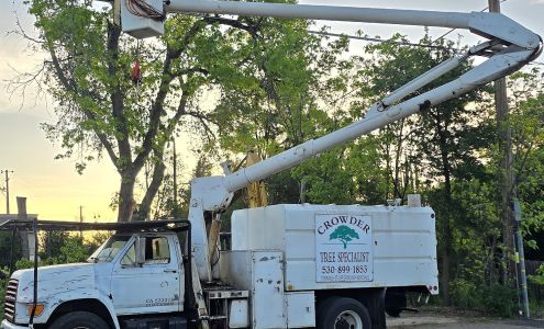 Crowder Tree Specialist