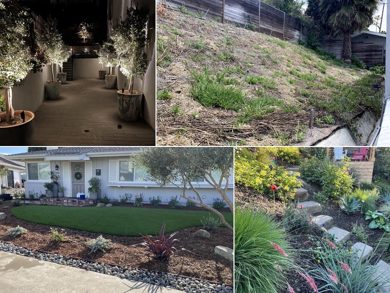 Rooted Landscape Design Studio