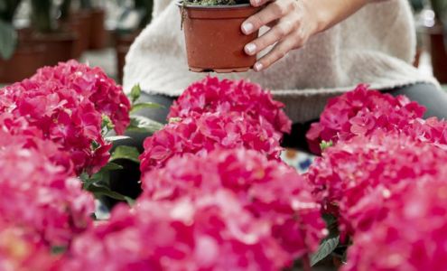 Ethos Landscaping LLC.