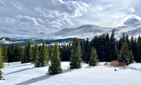 Backcountry Cleaning 305 S Ridge St Unit 3008, Breckenridge Colorado 80424