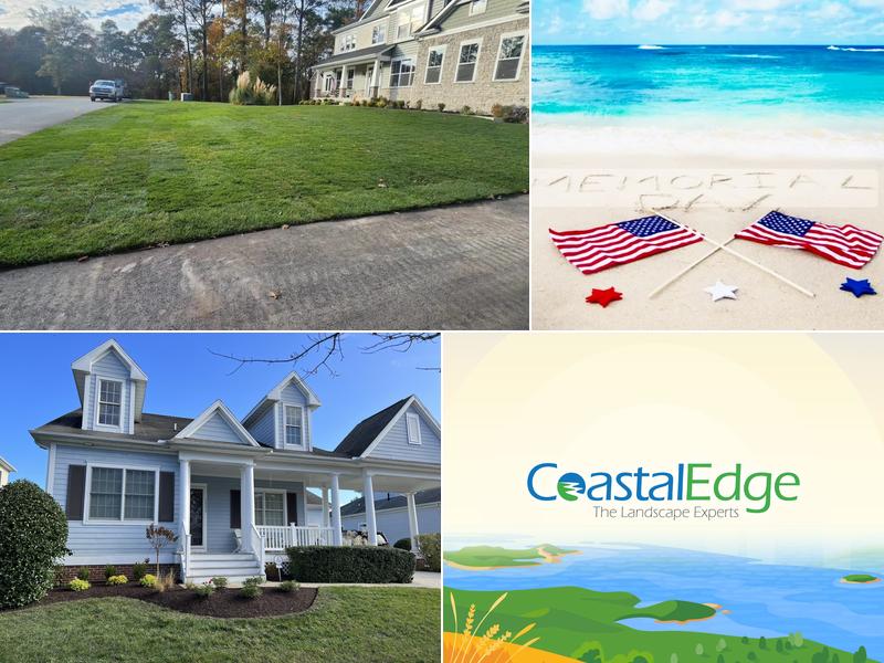 Coastal Edge Landscape