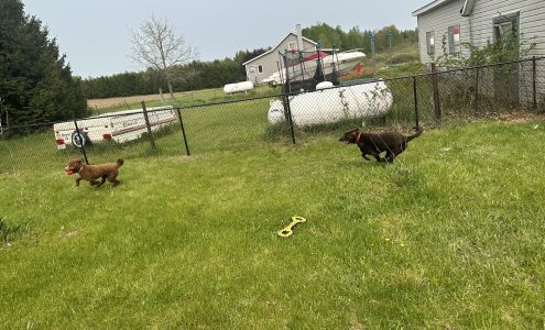 Hamberg Fence Company 7183 Whaley Rd, Cadillac Michigan 49601