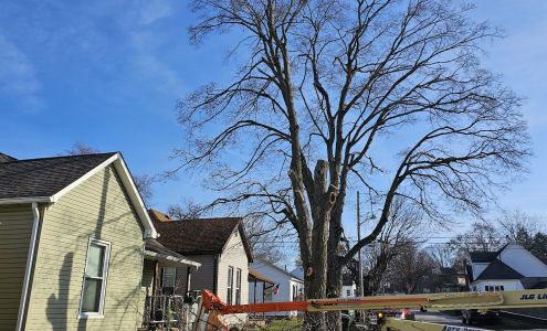 Hyde Tree Works, LLC 14642 Ewing Rd, Moores Hill Indiana 47032