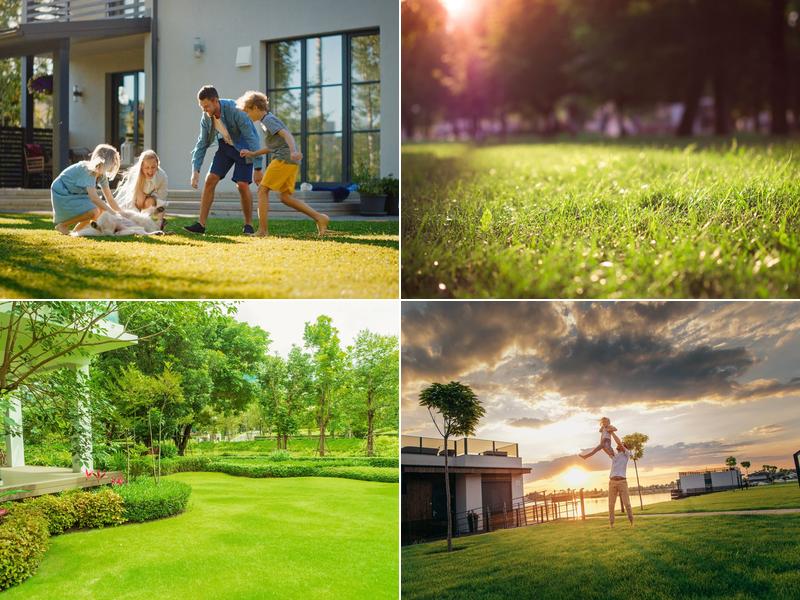 Aesthetic Turf Solutions