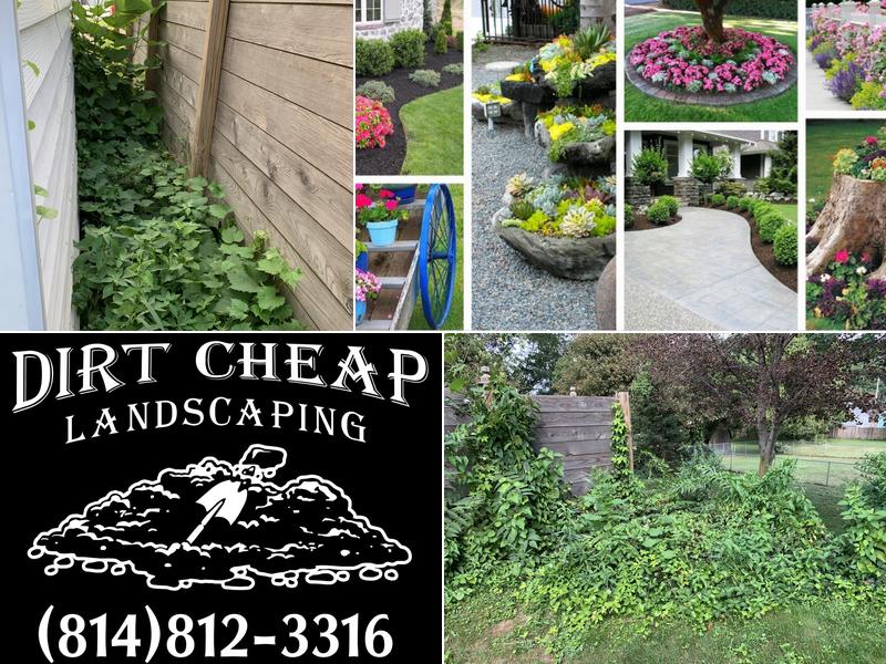 Dirt Cheap Landscaping