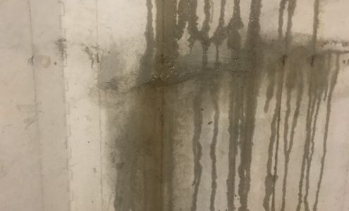 Bassett Masonry Inc 995 Deveaux St, Elmora Pennsylvania 15737