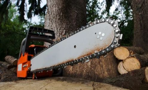 Smith Family Tree Service 395 Green Mountain Rd, Effingham New Hampshire 03882