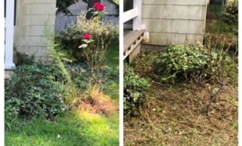 Bass's Landscaping Lawncare - Landscape Maintenance Contractor 1026 Macedonia Rd, Edenton North Carolina 27932