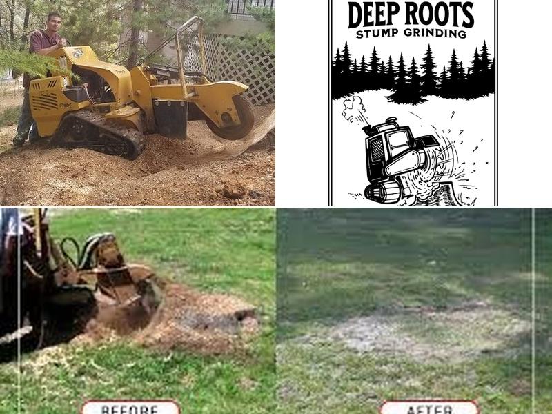 Deep Roots Stump Grinding