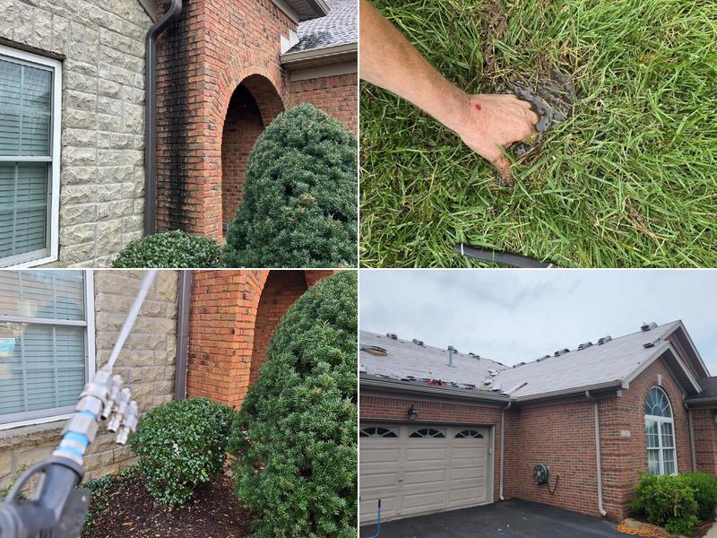 GM Roofing & Gutter Topper