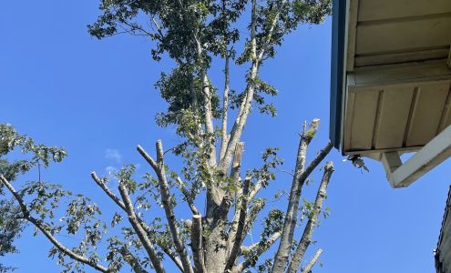 Cortez lawn care & landscaping