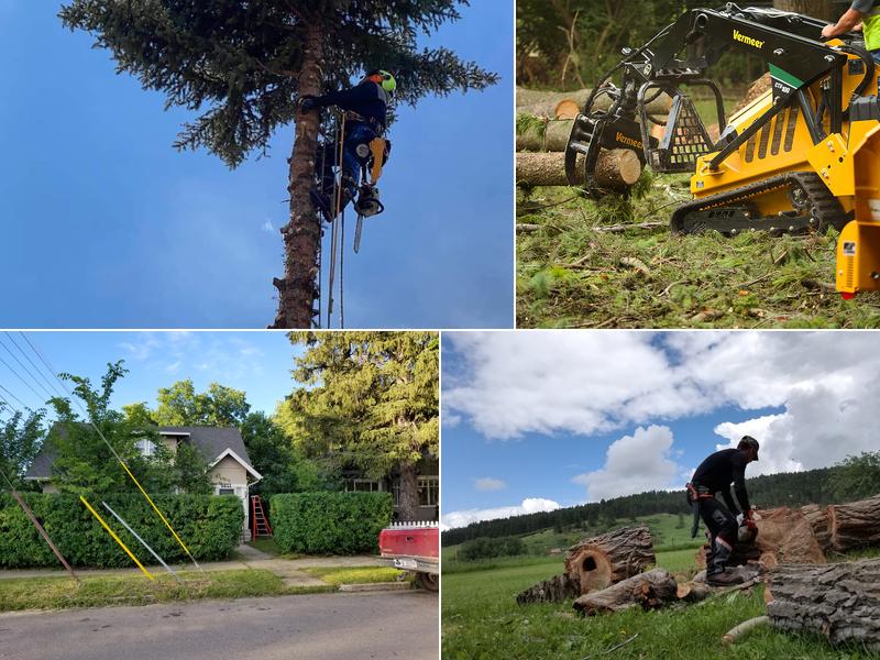 Apex Tree Service