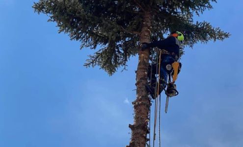 Apex Tree Service 401 4th St W, Lewistown Montana 59457