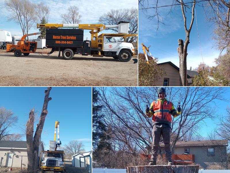 Norse Tree Service LLC