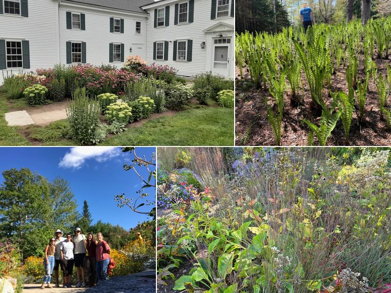 Leeward Fine Gardening