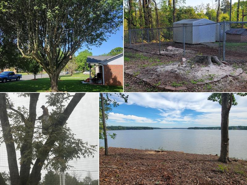 Veterans Tree Service