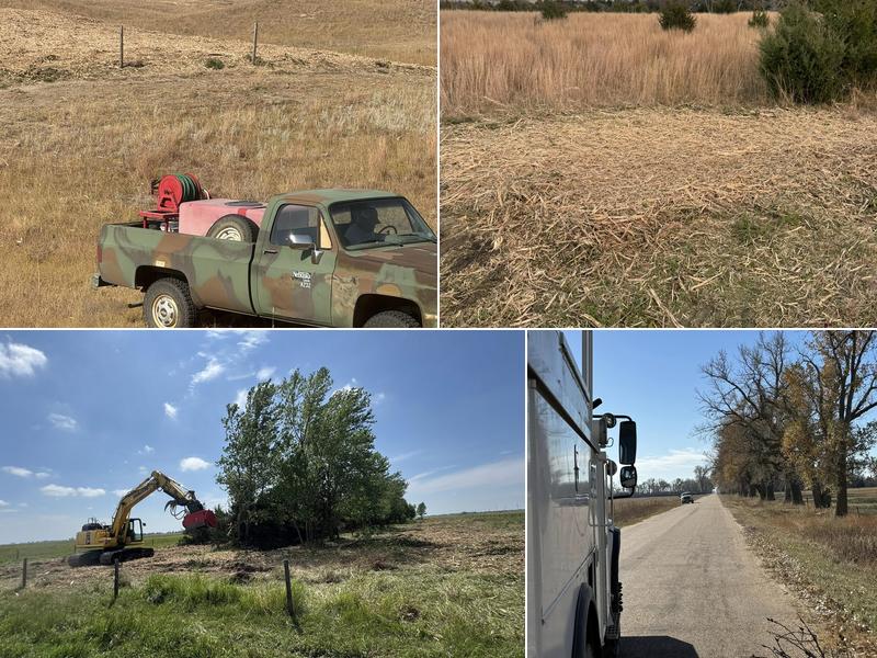 Olberding Tree Services