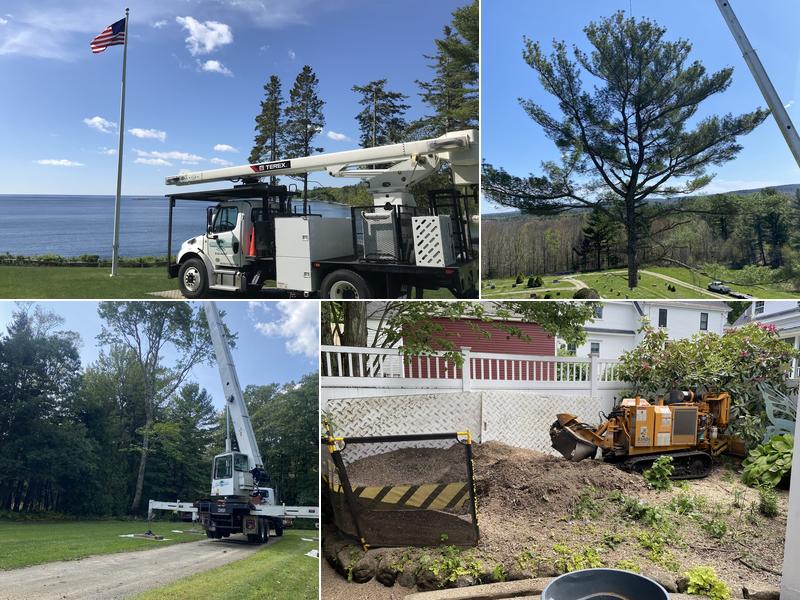 Braggs Tree Care LLC