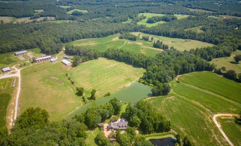 In-depth Productions / In-depth Images