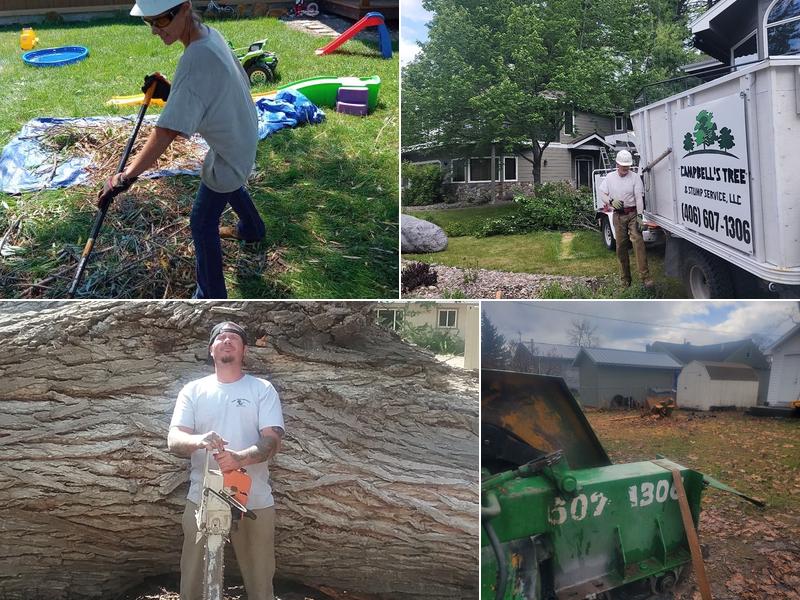 Campbells Tree And Stump Service LLC