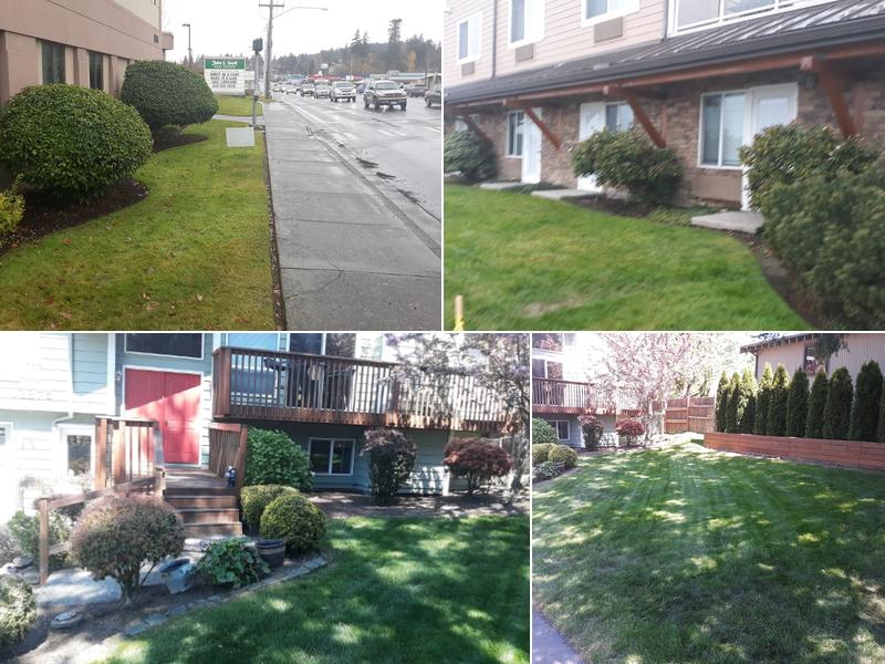 G&M Lawn and Flowerbed Service LLC