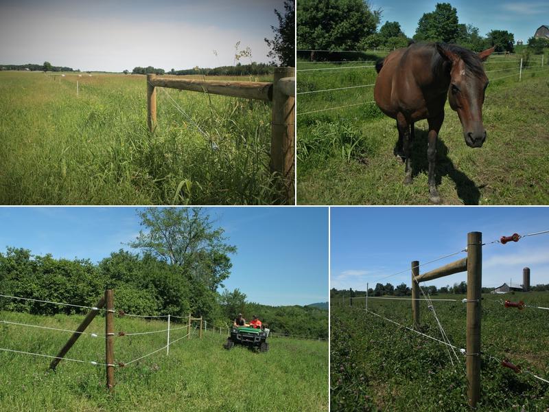 Thunder Basin Fence