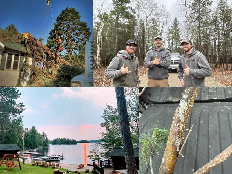 Dutchman Tree Service LLC.