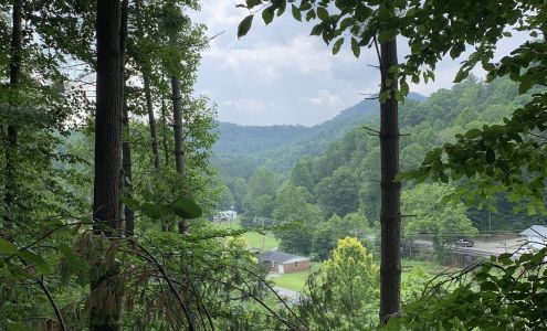 Buckeye Tree Servies & Landscaping, LLC. 2681 Big Willard Rd, Busy Kentucky 41723