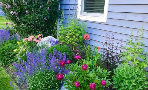 Lawngevity Landscapes