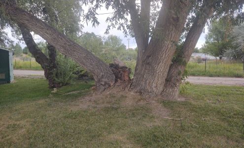 Carrell Tree Services 1550 Last Chance Ln, Worland Wyoming 82401