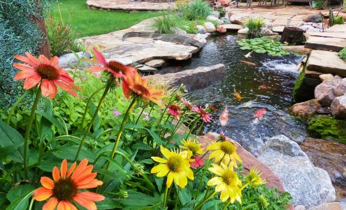 Steele's Landscapes